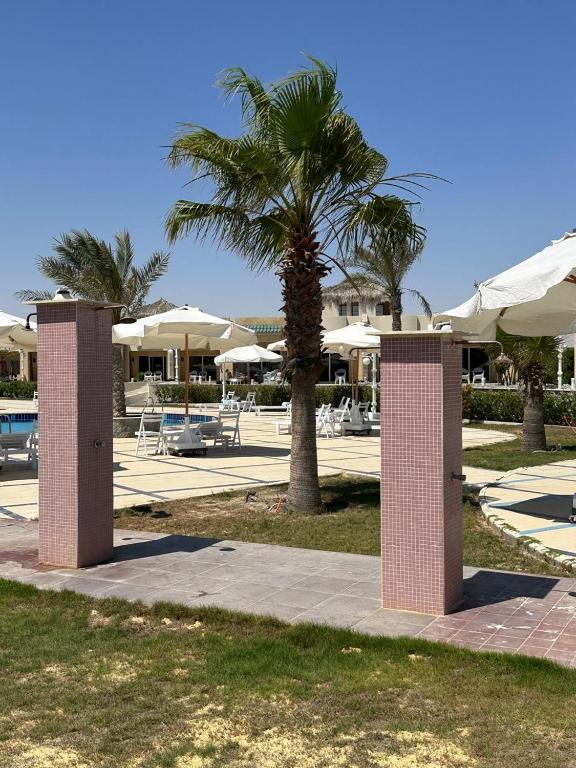 Fotografie z fotogalerie ubytování Grand Waha Resort v destinaci Mersa Matruh