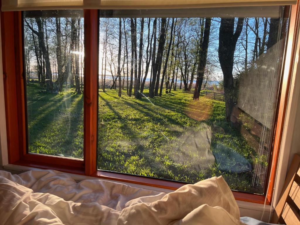 Kebun di luar sun& relax- TINYHOUSE