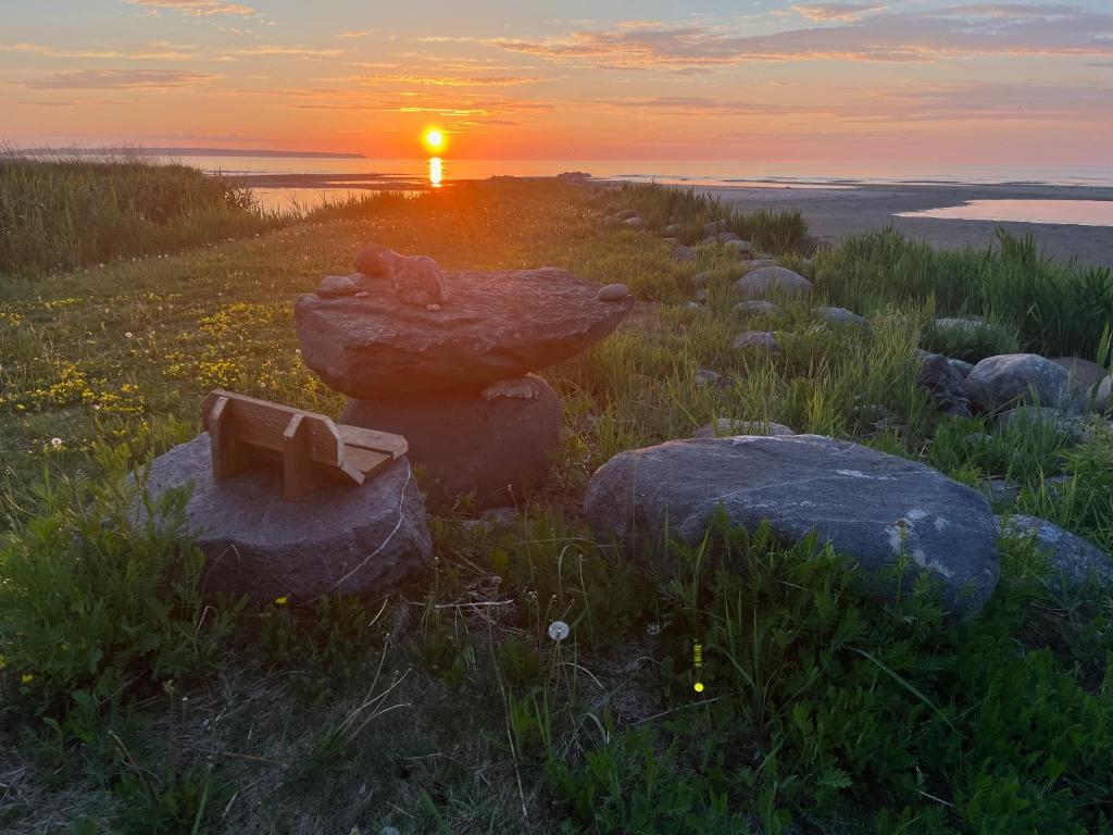 a stone bench on a hill with the sunset in the background at sun& relax- TINYHOUSE in Sõitme