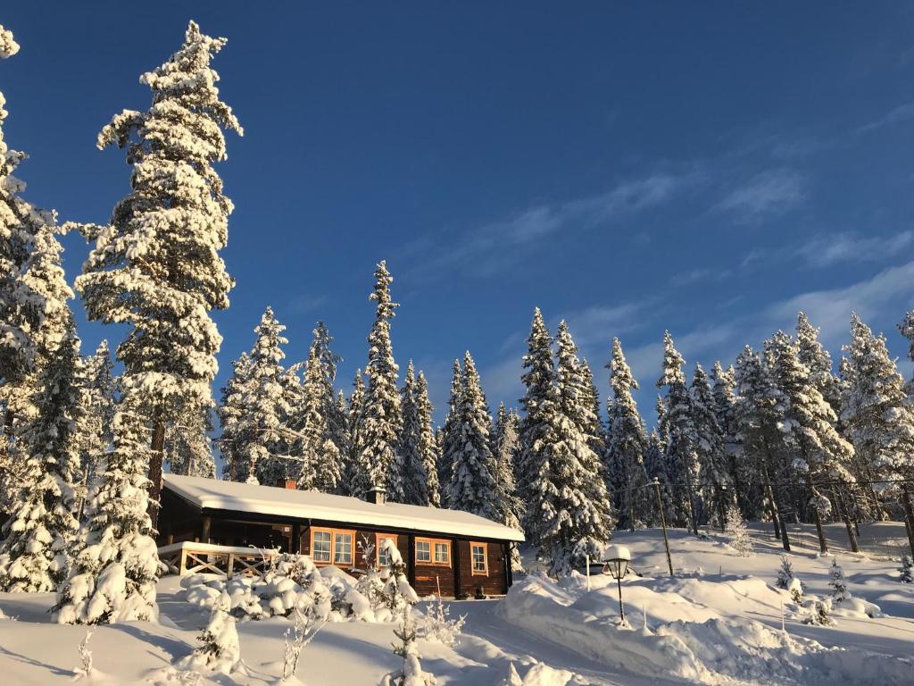 una cabina nella neve con alberi innevati di Fjällstuga Lofsdalen a Lofsdalen