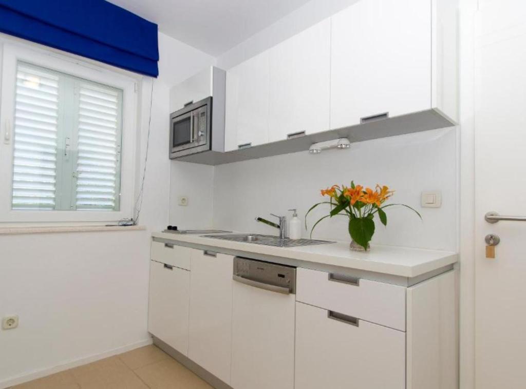 Cuisine ou kitchenette dans l'établissement Apartments Villa Olea