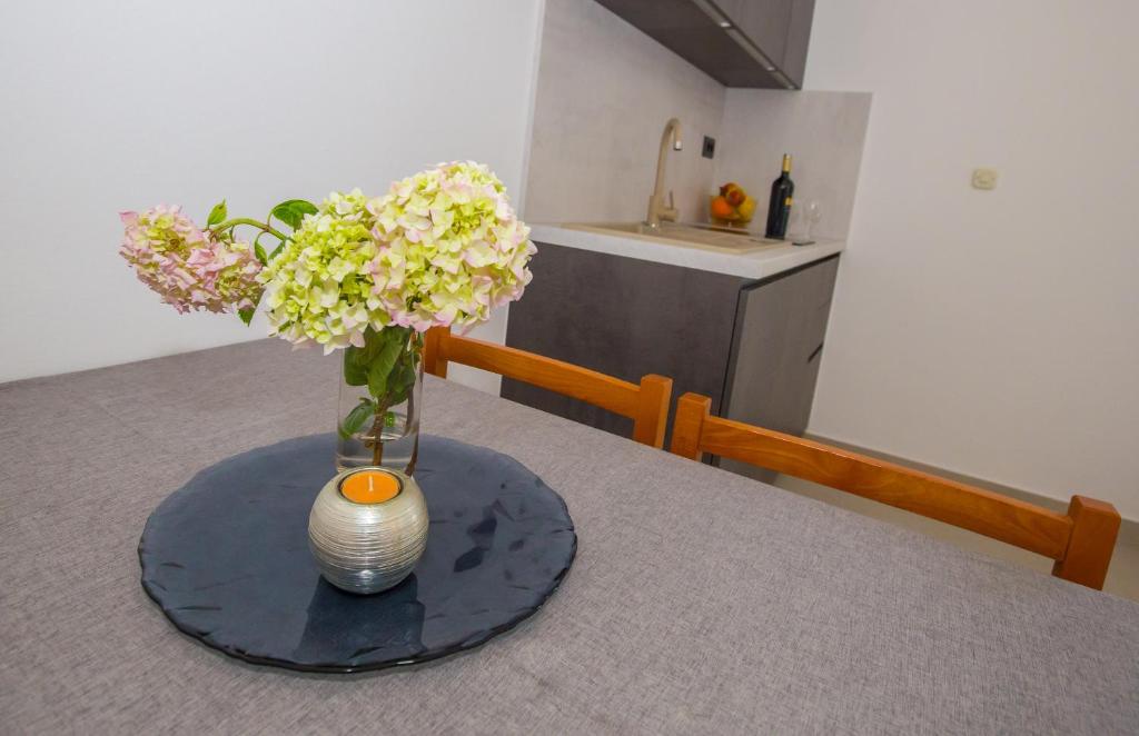 Apartments Villa Borik - 1