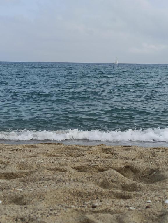 une plage avec l'océan et un bateau au loin dans l'établissement Résidence Sable 4 appartement 5 pers 100 m de la plage, à Leucate