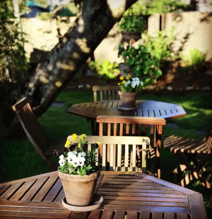 Zahrada ubytování Snorri's Guesthouse