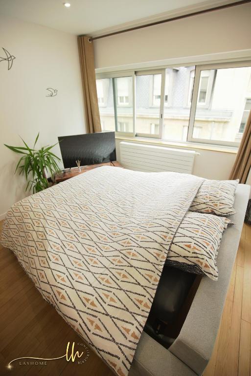 Chaleureux, lumineux et confortable F2 rénové en plein coeur de Nancy - Appartement