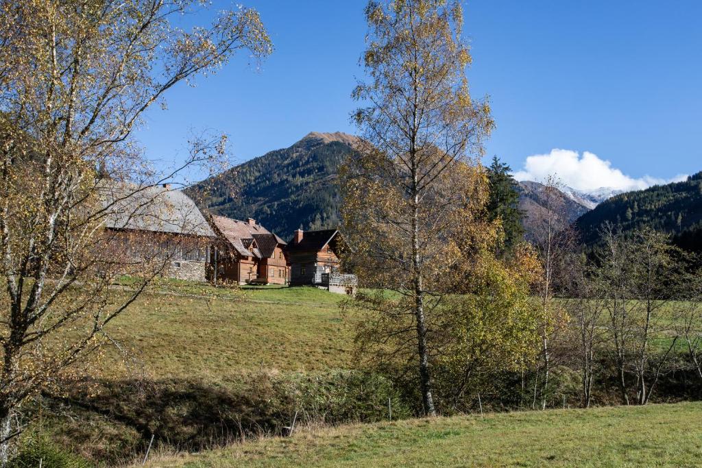 Příroda nedaleko apartmánu