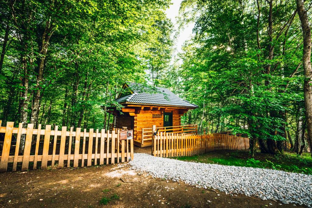 Příroda nedaleko apartmánu