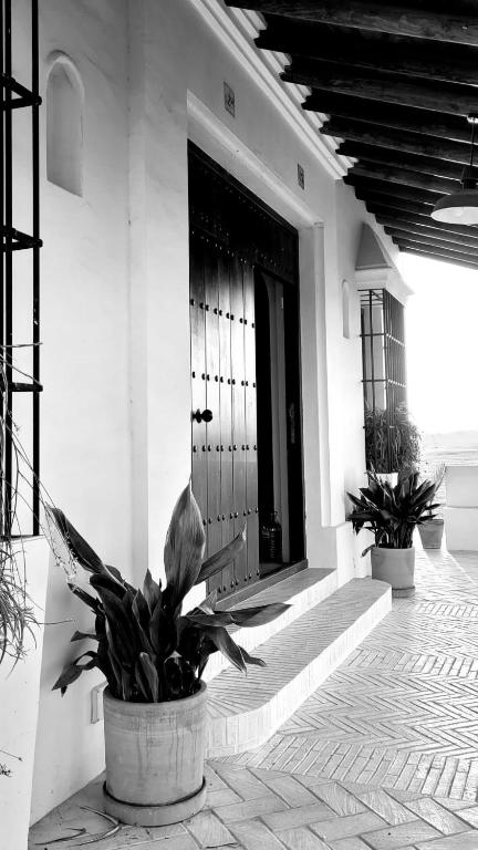 Fotografia z galérie ubytovania Doñana Suite Casa-Hotel v destinácii El Rocío
