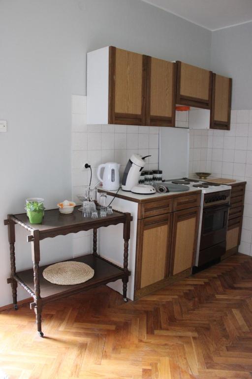 Kuchyň nebo kuchyňský kout v ubytování Harmonia guesthouse