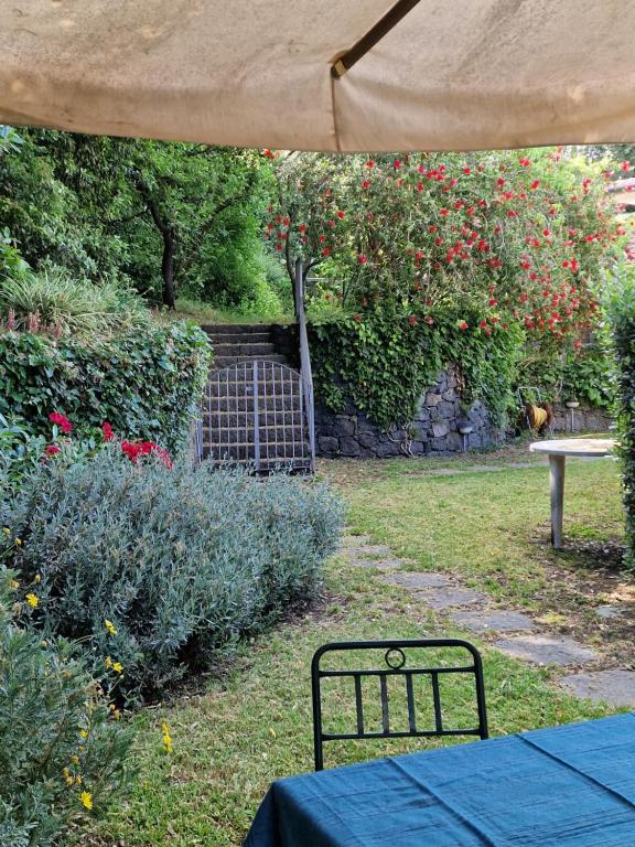Zahrada ubytování Casa Delle Coccole
