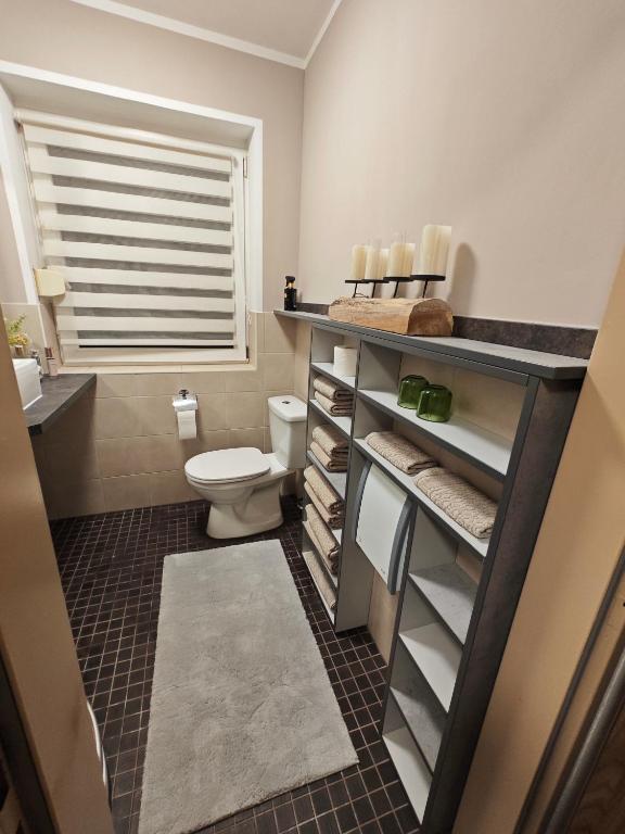 Vannituba majutusasutuses Apartments Faak