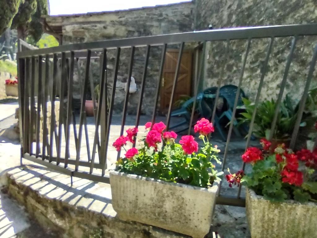 Zahrada ubytování Fattoria di Cintoia
