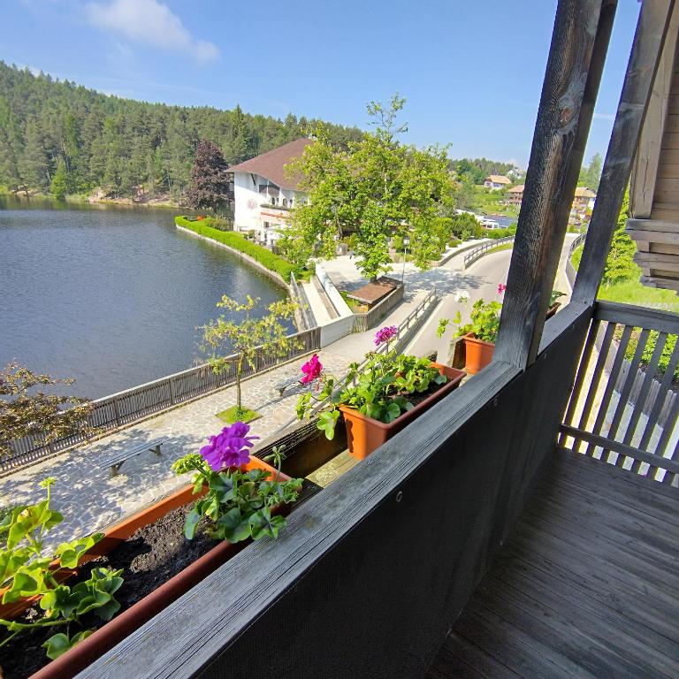 Příroda nedaleko apartmánu