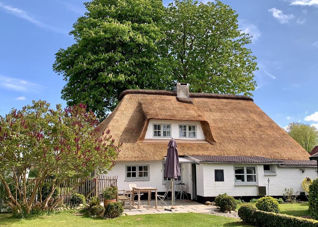 a thatch roof house with a table and an umbrella at Ferienhaus Tade Bo in Süderstapel