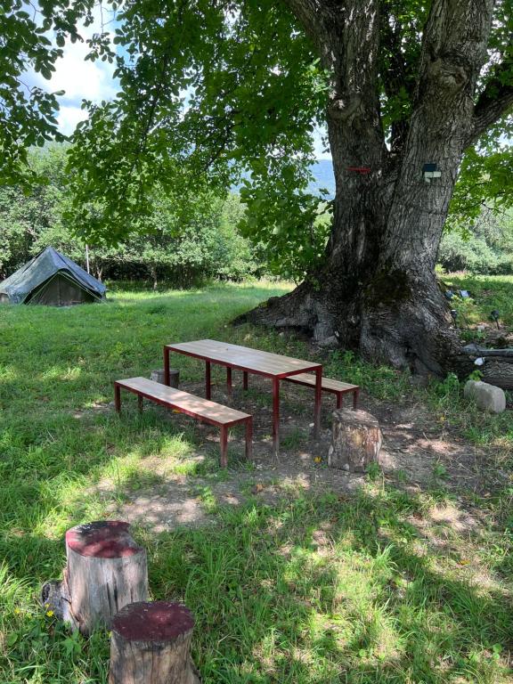 Zahrada ubytování Tianeti village retreat