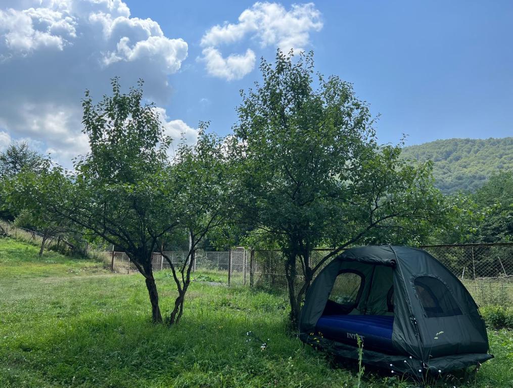 Příroda nedaleko luxury tent