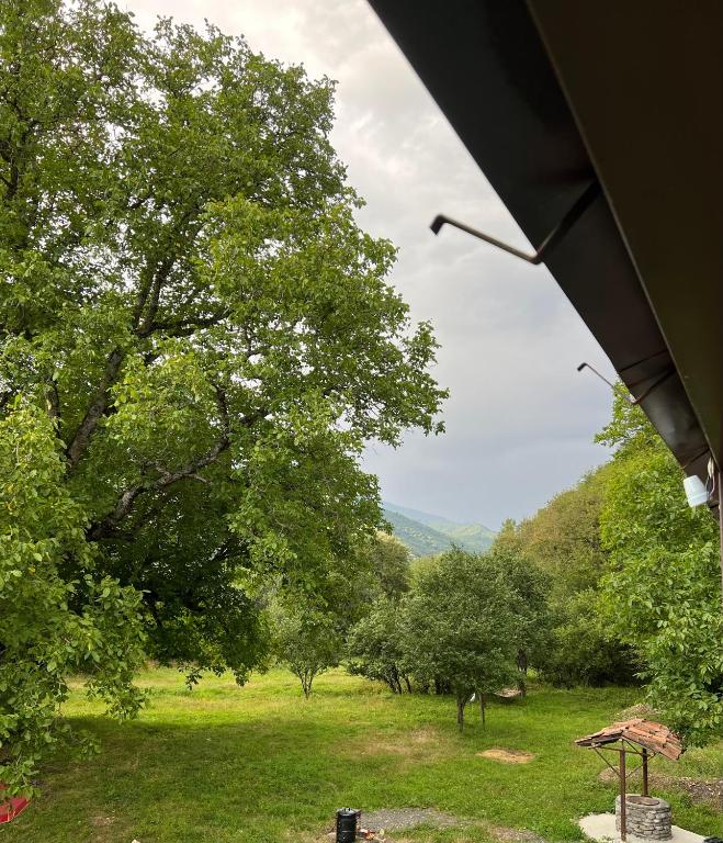 Příroda nedaleko luxury tent