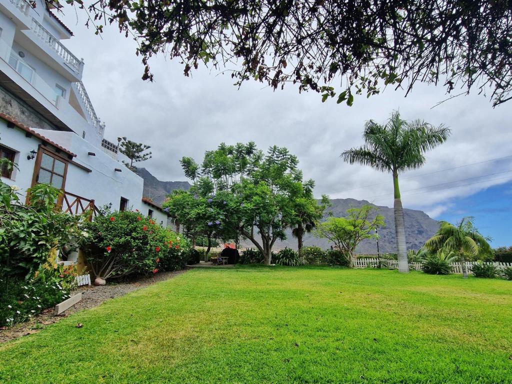 une cour verdoyante avec un bâtiment et un palmier dans l'établissement CHC - Casa del Abuelo II, à Buenavista del Norte