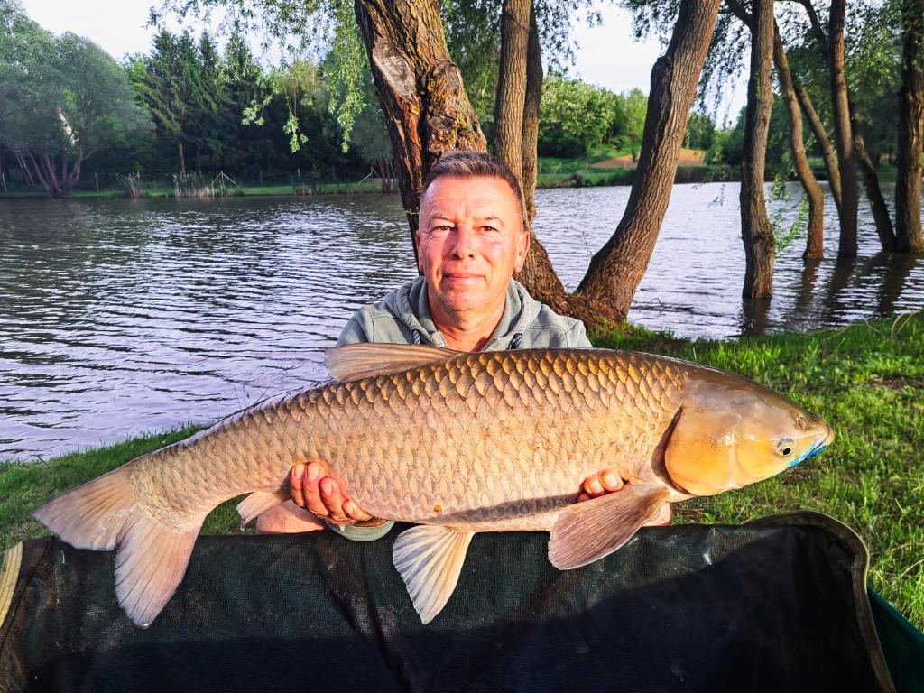 Výhled na řeku, která protéká v blízkosti kempu
