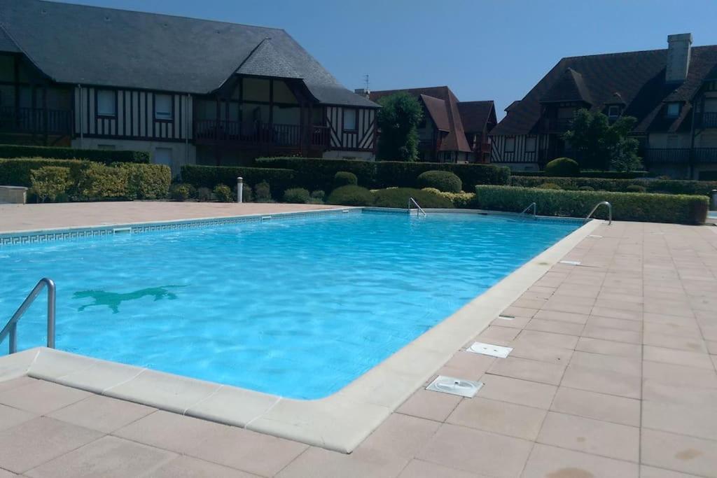 une piscine avec un requin dans l'eau dans l'établissement Deauville, Appartement 115 m2 - 3 chambres, en Rez de jardin, à Deauville