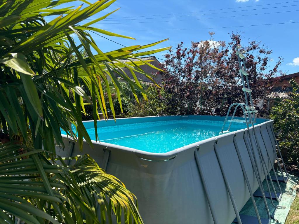 un bain à remous dans un jardin avec un palmier dans l'établissement Le cocon près d'Albi, à Saint-Grégoire