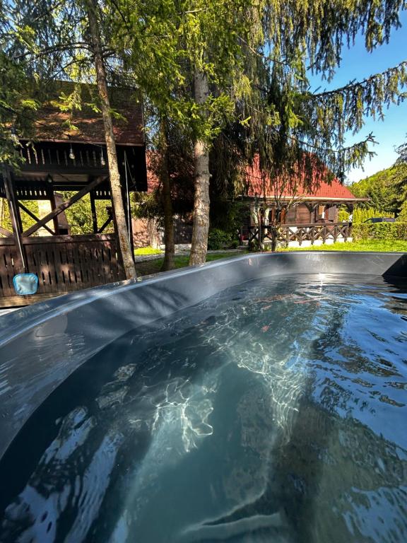 a swimming pool in the backyard of a house at Elixír Guest House in Izvoare