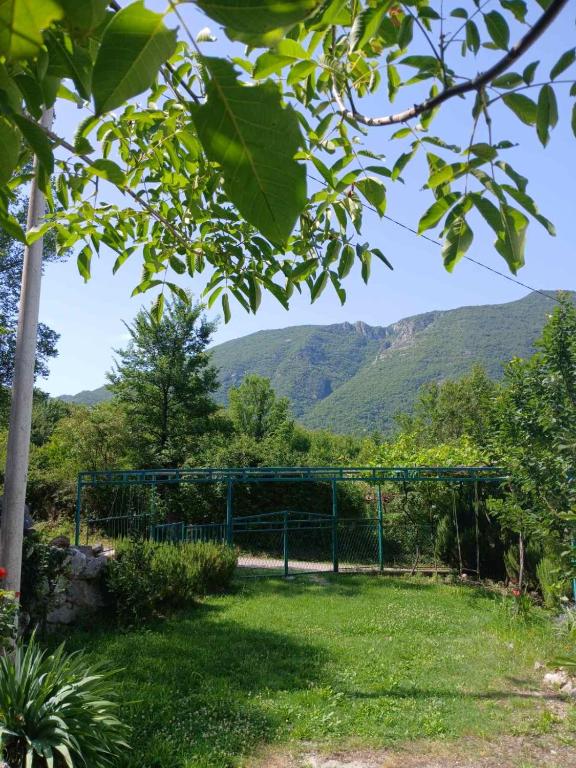 Paesaggio naturale nelle vicinanze dell'agriturismo