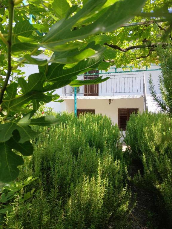 Giardino di Etno House Mira