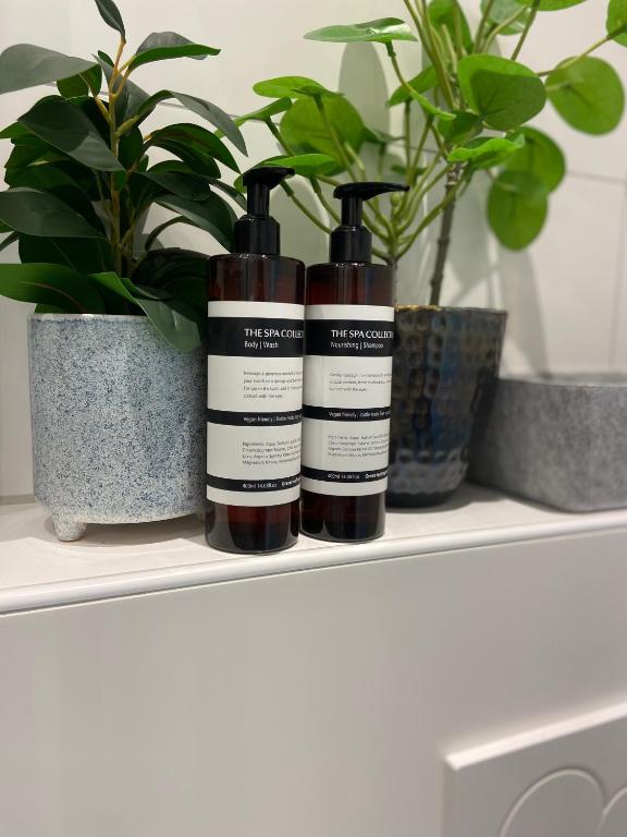 Alex Maastricht - Resim 14