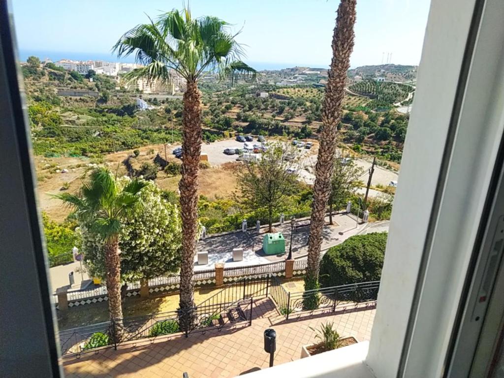 a view from a window of palm trees and a park at Casa El Barco in Torrox