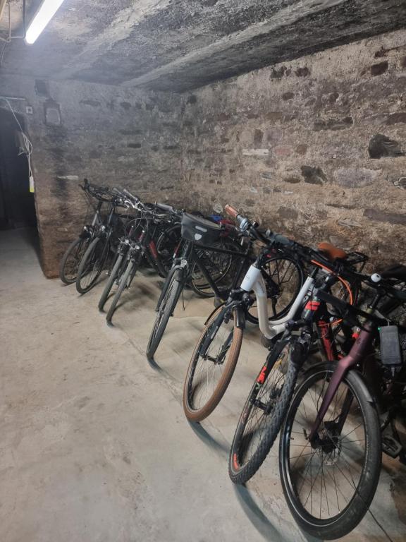 Jízda na kole v ubytování Gasthaus Korneli nebo okolí