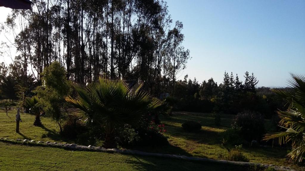 Zahrada ubytování El Algarrobo
