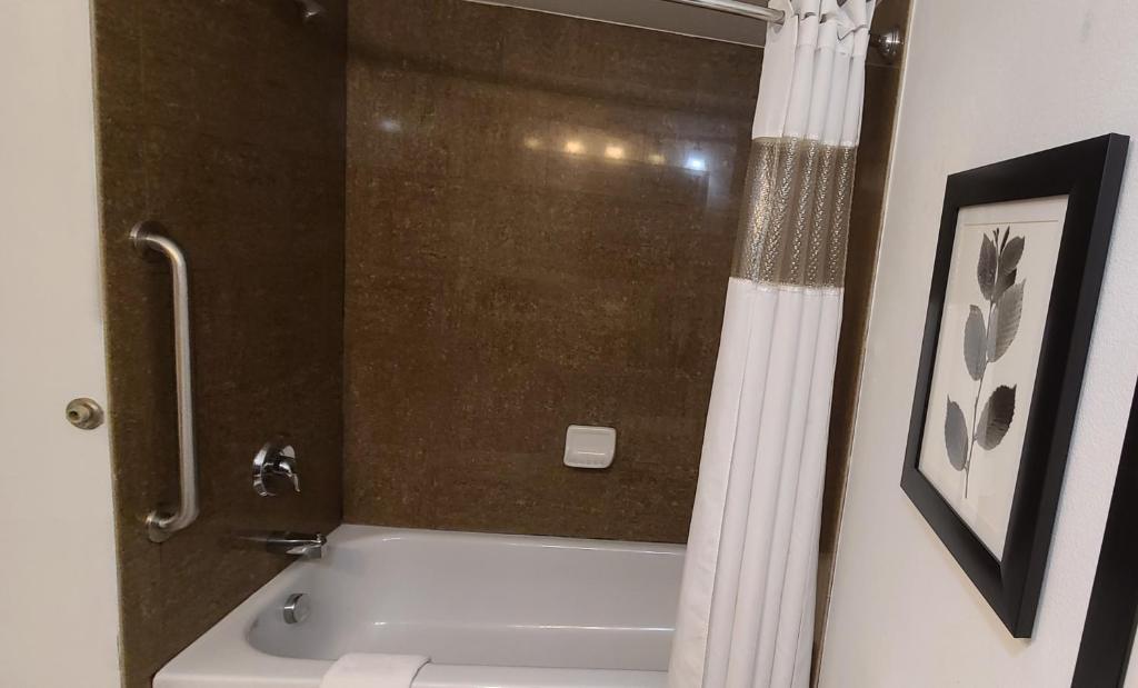 Country Inn & Suites by Radisson, Bradenton-Lakewood-Ranch, FL photo