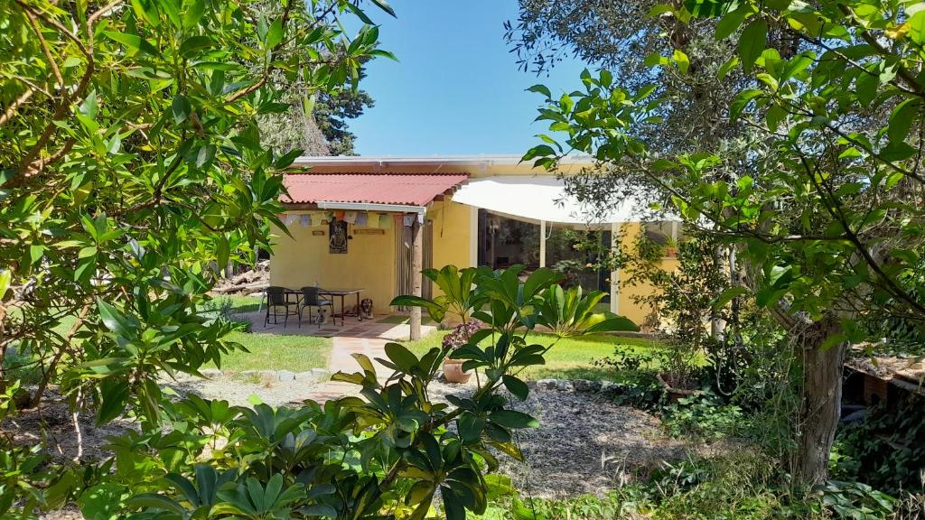 Blick auf ein Haus durch die Bäume in der Unterkunft Casa Rustica in El Puerto de Santa María
