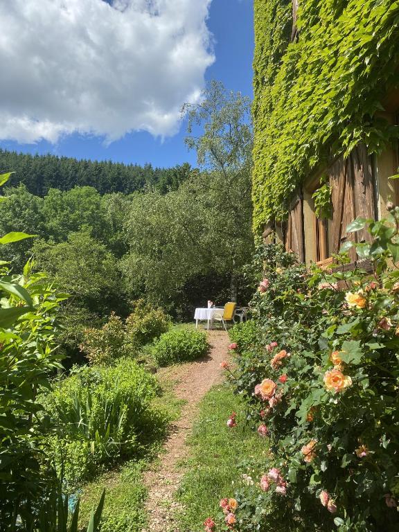 a path leading to a house with ivy at Gîte de Chamelet - Nature et tranquillité in Chamelet