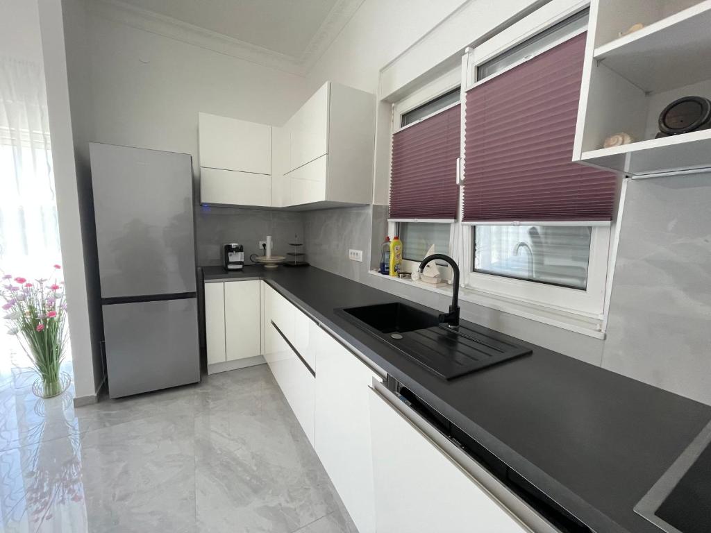 Kuchyň nebo kuchyňský kout v ubytování Apartments Adria