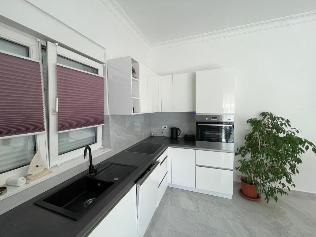 Kuchyň nebo kuchyňský kout v ubytování Apartments Adria
