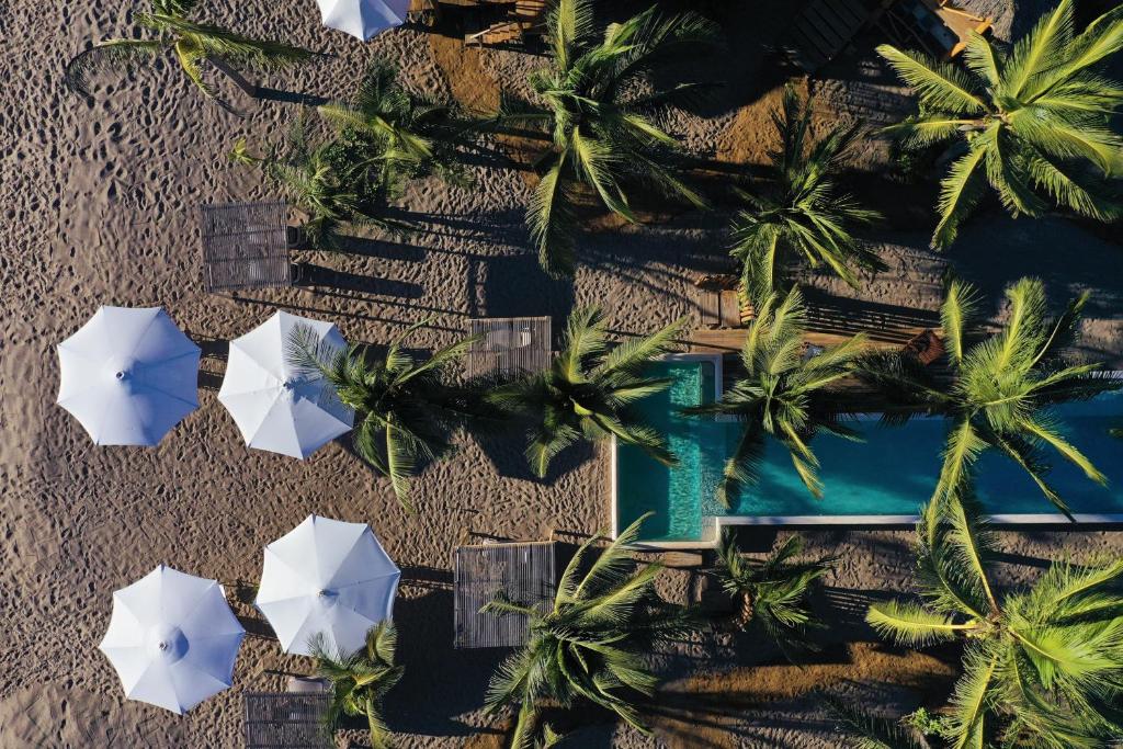 an overhead view of umbrellas and a swimming pool at Mangle Rojo Palafitos in La Manzanilla