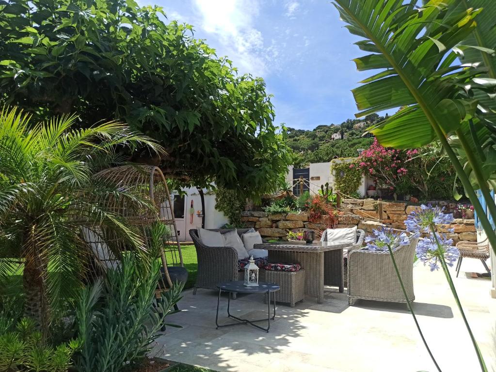 d'une terrasse avec des chaises et une table dans le jardin. dans l'établissement Laurier, à Cavalaire-sur-Mer