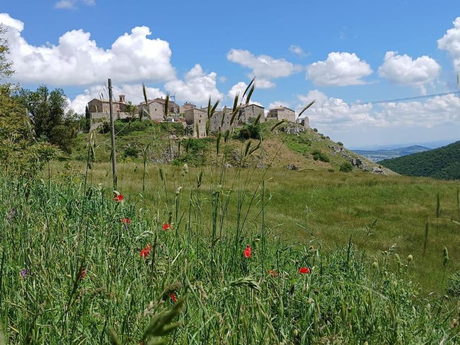 un champ d'herbe avec une maison sur une colline dans l'établissement Rifugio San Vicino, à San Severino Marche