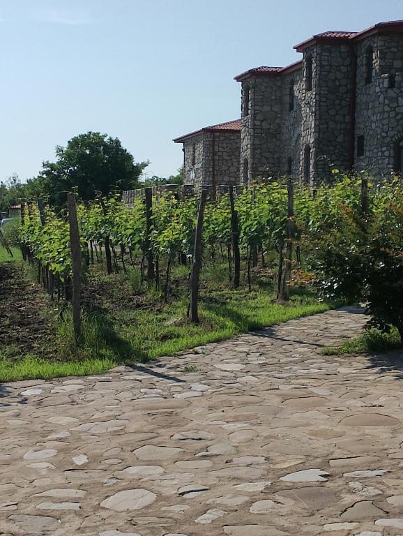 Zahrada ubytování Chateau Tetri Bairagebi White Flags