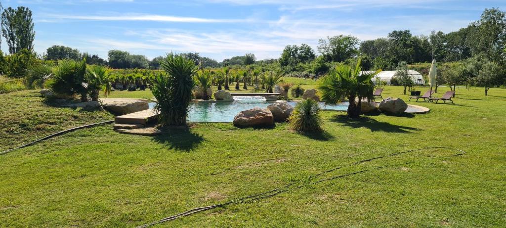 a pond in a park with palm trees and a bridge at Le Mas des Cerisiers JACUZZI et SAUNA inclus pour tous les logements in Avignon