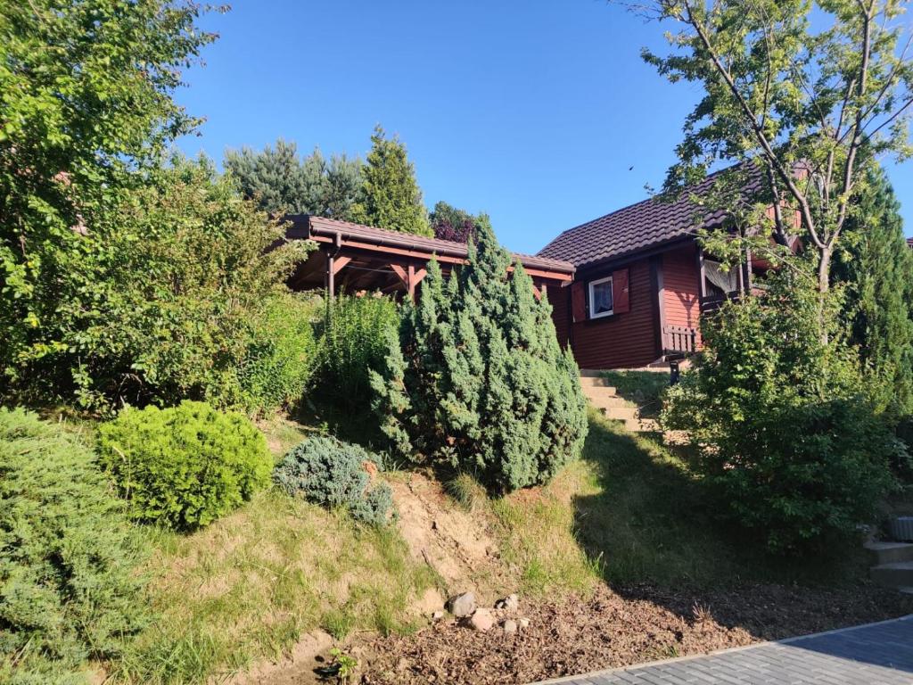 Zahrada ubytování Domus Mare domek 3