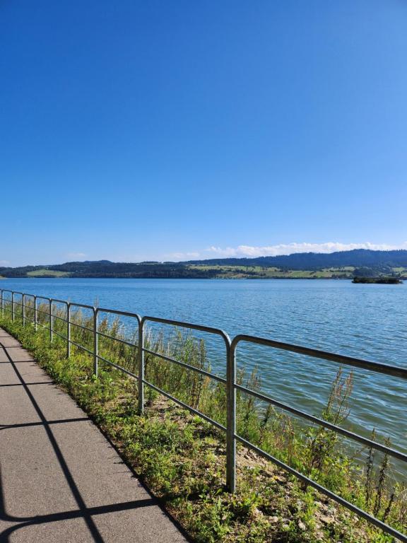 a path next to a body of water at apartament u Irenki in Harklowa