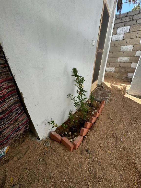 Fotografie z fotogalerie ubytování Shahenda House v destinaci Dahab