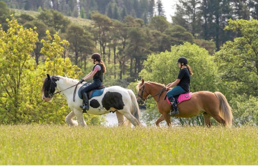 two people riding on horses in a field at Lochview Retreat Caravan in Balminnoch