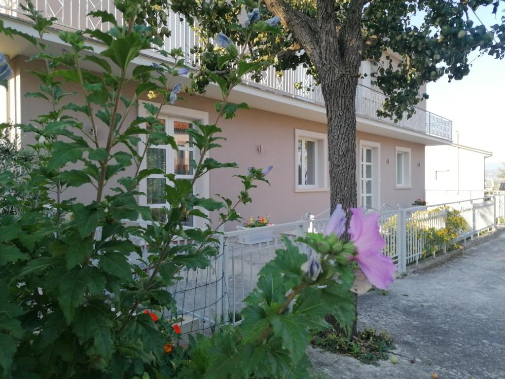 a pink house with a fence and a tree at Villa ELENA in Mirabella Eclano
