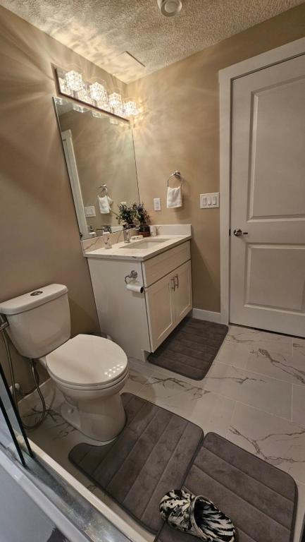 Koupelna v ubytování Luxury Basement Suite with 2 Bedrooms, 2 Queen Beds, Free Wi-Fi, and Free Parking