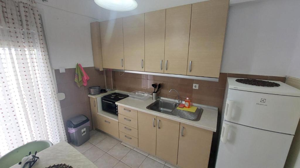 Kuchyň nebo kuchyňský kout v ubytování Makis Apartments Flogita