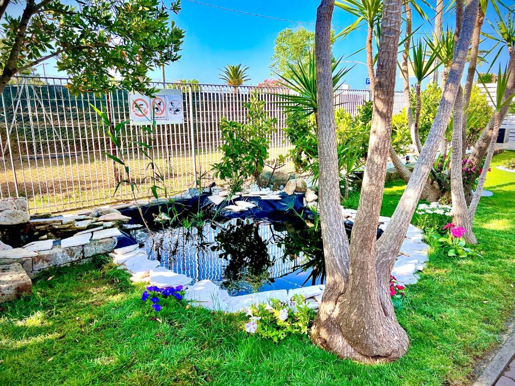 a pond in a yard with trees and flowers at Villa Latino in Vieste